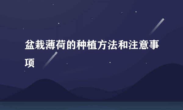 盆栽薄荷的种植方法和注意事项