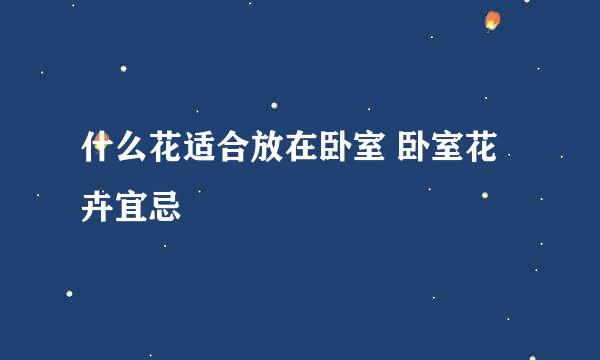 什么花适合放在卧室 卧室花卉宜忌