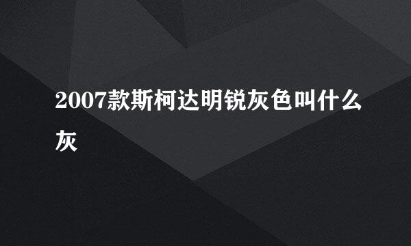 2007款斯柯达明锐灰色叫什么灰