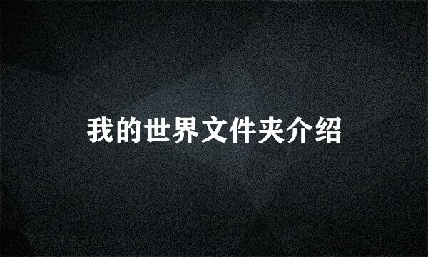 我的世界文件夹介绍