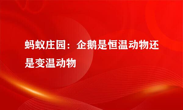 蚂蚁庄园：企鹅是恒温动物还是变温动物