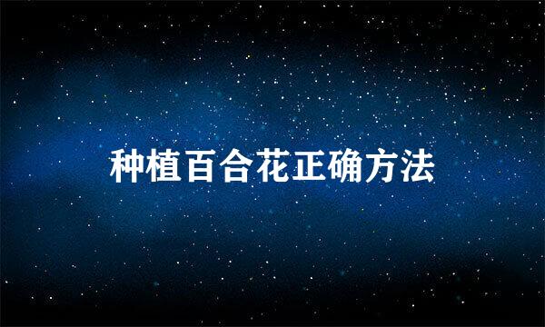种植百合花正确方法