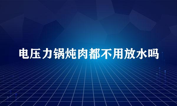 电压力锅炖肉都不用放水吗