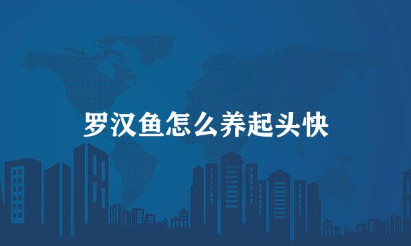 罗汉鱼怎么养起头快