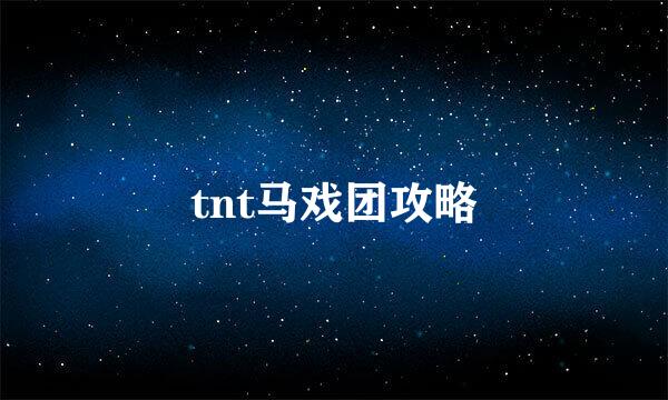 tnt马戏团攻略