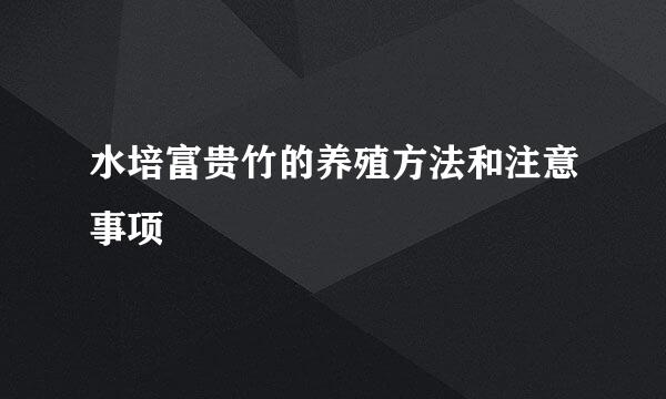 水培富贵竹的养殖方法和注意事项