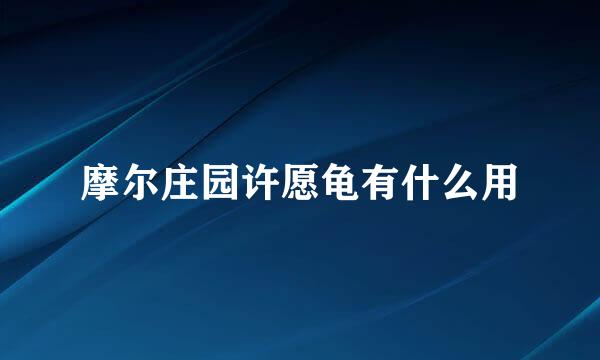 摩尔庄园许愿龟有什么用