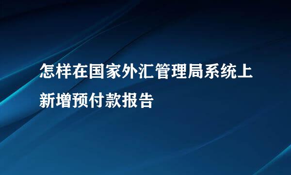 怎样在国家外汇管理局系统上新增预付款报告