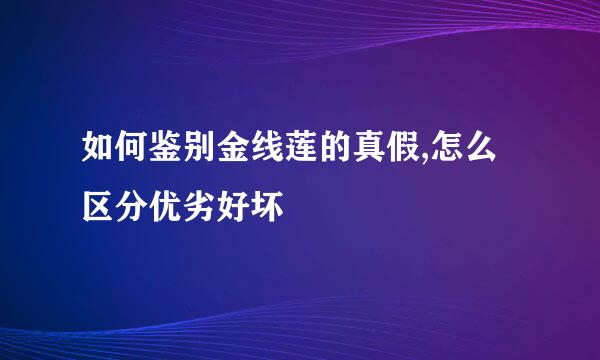 如何鉴别金线莲的真假,怎么区分优劣好坏