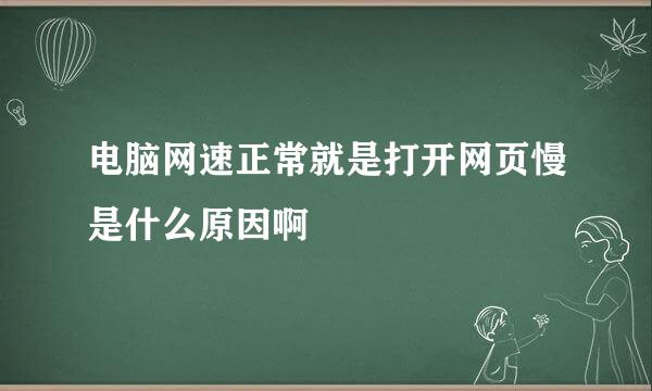 电脑网速正常就是打开网页慢是什么原因啊