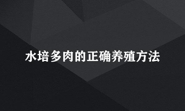 水培多肉的正确养殖方法