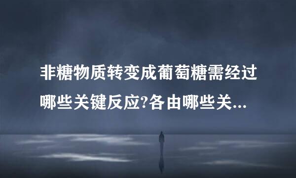 非糖物质转变成葡萄糖需经过哪些关键反应?各由哪些关键酶催化