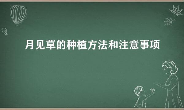 月见草的种植方法和注意事项