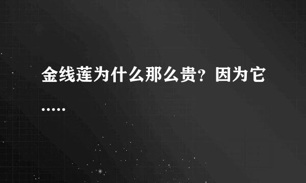 金线莲为什么那么贵?因为它.....