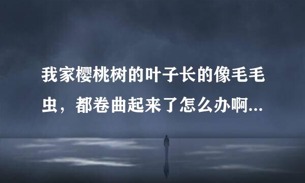 我家樱桃树的叶子长的像毛毛虫,都卷曲起来了怎么办啊急死了得病了吗