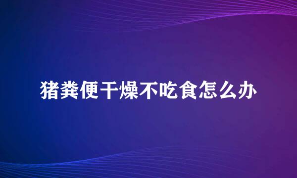 猪粪便干燥不吃食怎么办