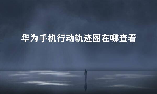 华为手机行动轨迹图在哪查看