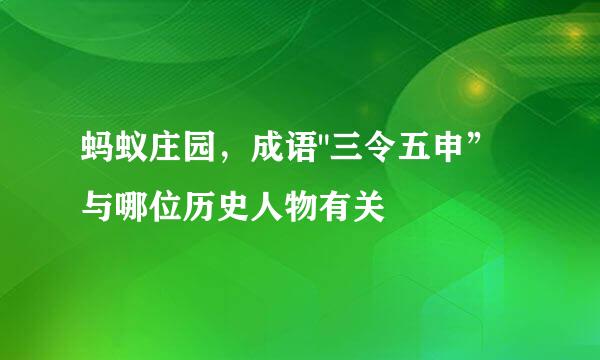 蚂蚁庄园，成语