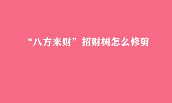 “八方来财”招财树怎么修剪