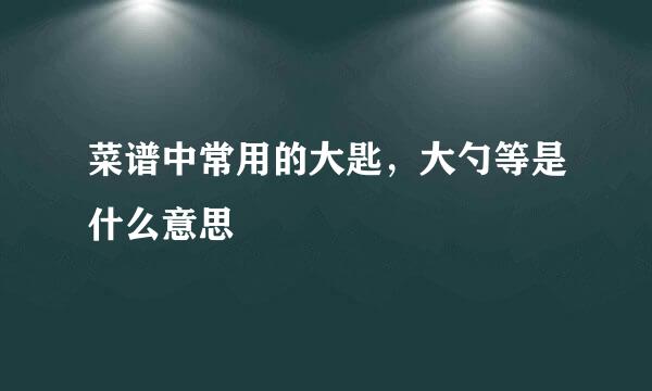 菜谱中常用的大匙，大勺等是什么意思