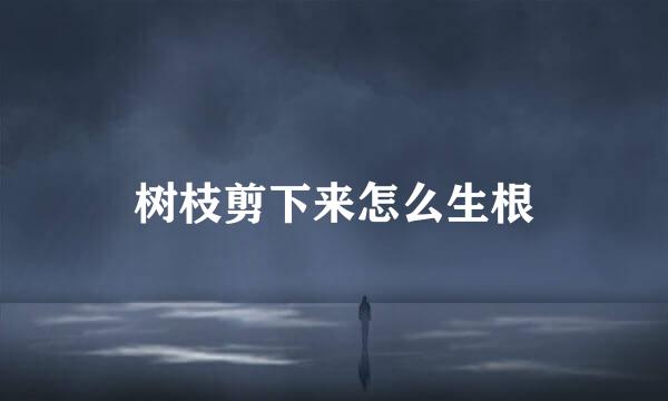 树枝剪下来怎么生根