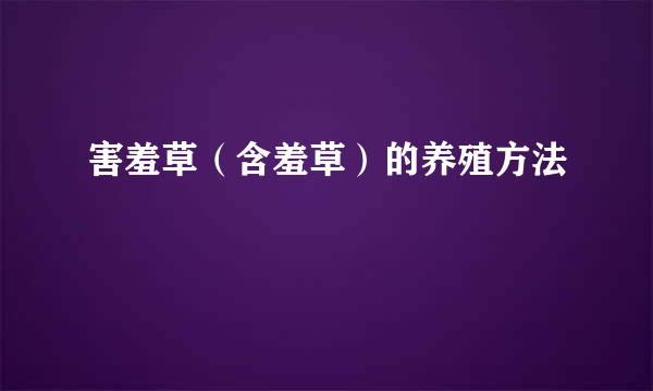 害羞草（含羞草）的养殖方法