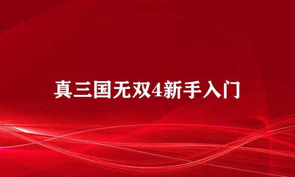 真三国无双4新手入门
