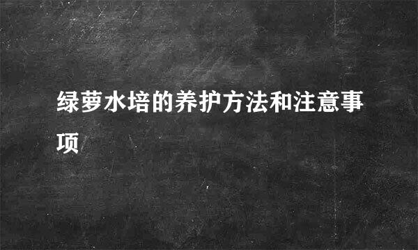 绿萝水培的养护方法和注意事项