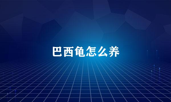 巴西龟怎么养