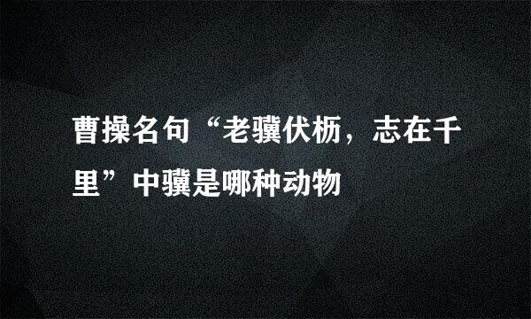 曹操名句“老骥伏枥，志在千里”中骥是哪种动物