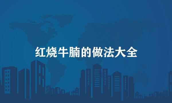 红烧牛腩的做法大全
