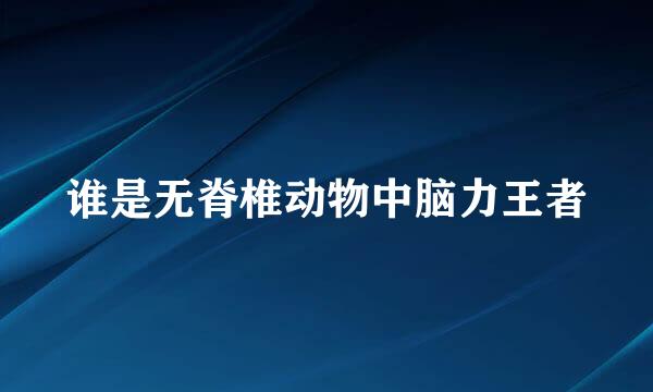 谁是无脊椎动物中脑力王者