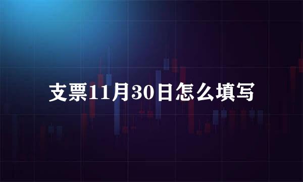 支票11月30日怎么填写
