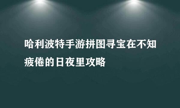 哈利波特手游拼图寻宝在不知疲倦的日夜里攻略