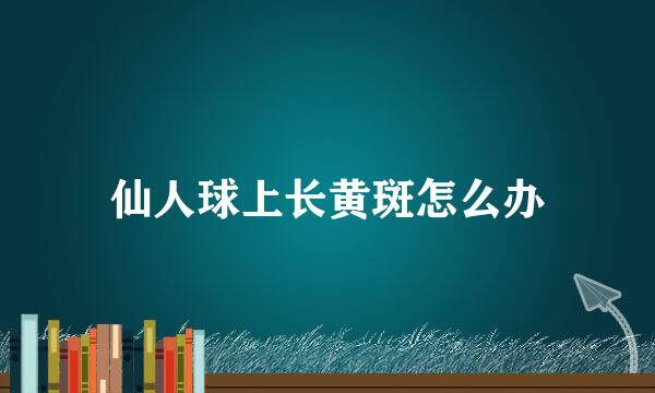 仙人球上长黄斑怎么办
