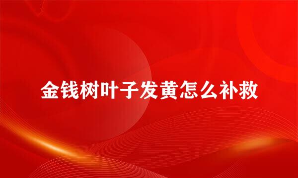 金钱树叶子发黄怎么补救
