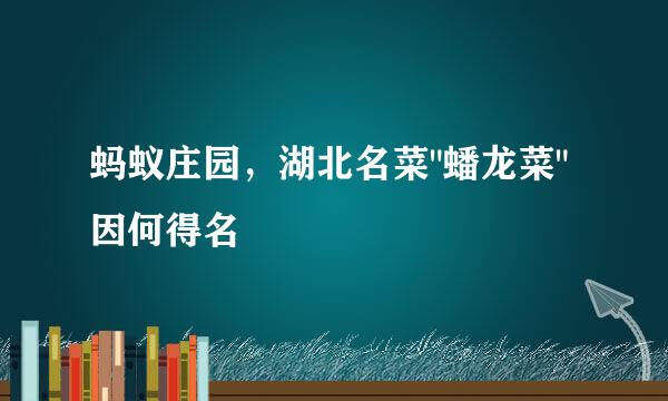 蚂蚁庄园，湖北名菜