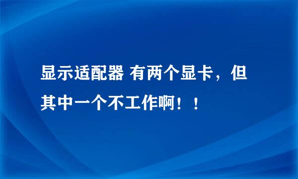 显示适配器 有两个显卡，但其中一个不工作啊！！