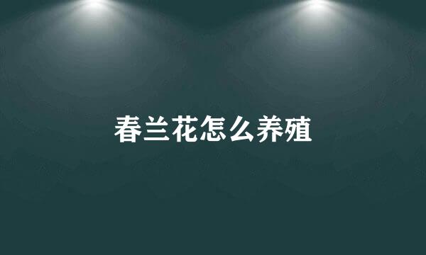 春兰花怎么养殖