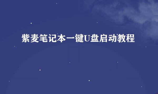 紫麦笔记本一键U盘启动教程