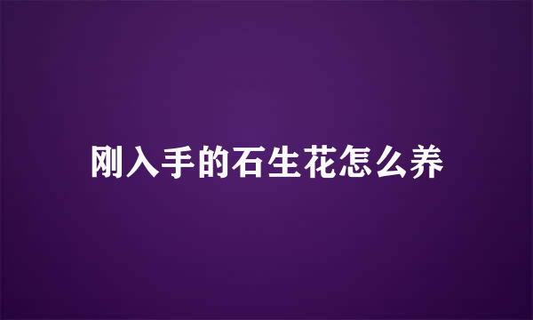刚入手的石生花怎么养