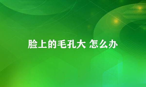 脸上的毛孔大 怎么办