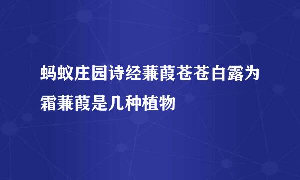 蚂蚁庄园诗经蒹葭苍苍白露为霜蒹葭是几种植物