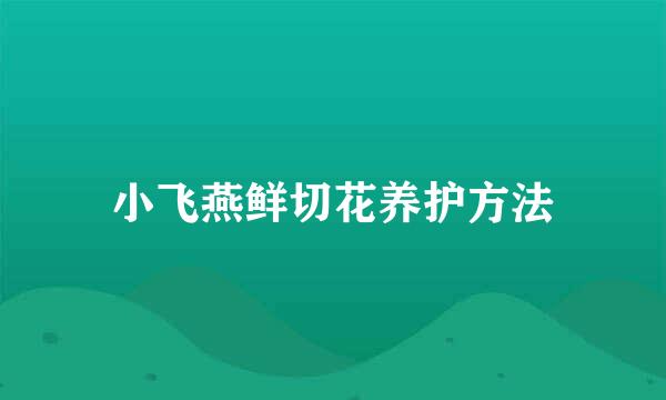 小飞燕鲜切花养护方法