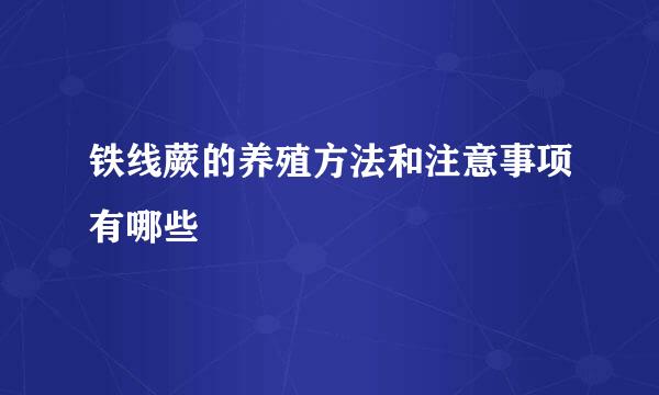 铁线蕨的养殖方法和注意事项有哪些