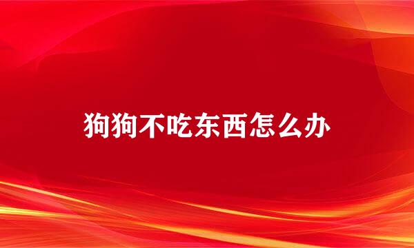 狗狗不吃东西怎么办