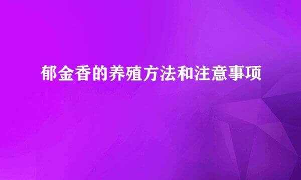郁金香的养殖方法和注意事项