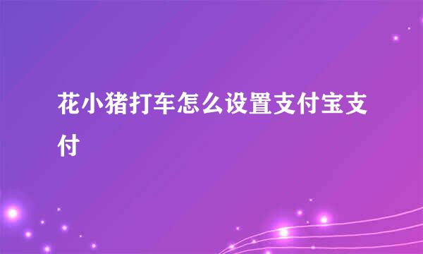 花小猪打车怎么设置支付宝支付