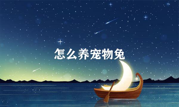 怎么养宠物兔