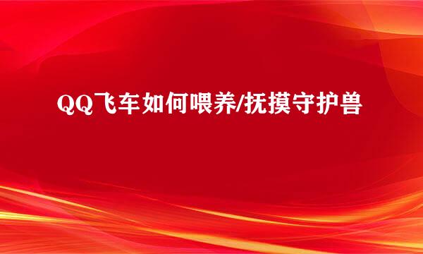 QQ飞车如何喂养/抚摸守护兽